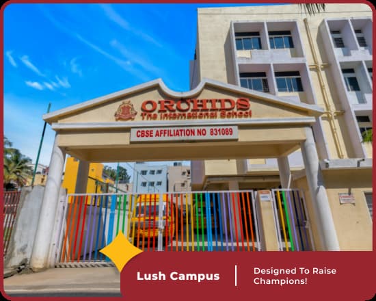 Swimming pool at Orchids International School, CV Raman Nagar, Bangalore