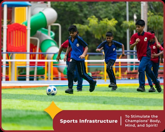 Sports Infrastructure
