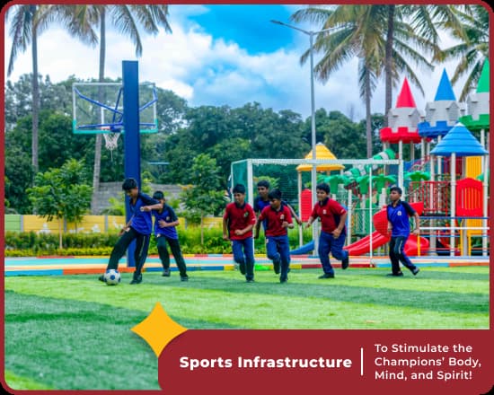 Sports Infrastructure